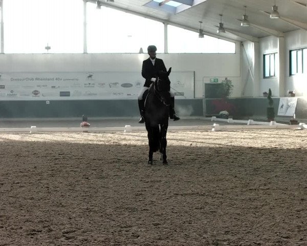 Reitturnier Mönchengladbach-Abtshof 2019