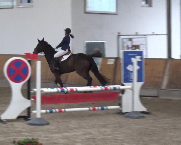 Reitturnier Freudenberg 2019