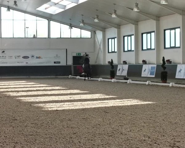 Reitturnier Mönchengladbach-Abtshof 2019