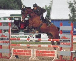 Springpferd Fortunas Girl M (Hannoveraner, 2007, von For Keeps)