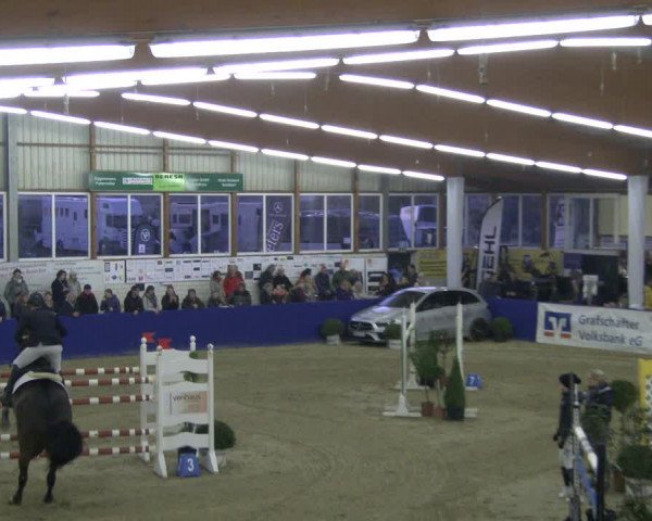 Reitturnier Isterberg 2019