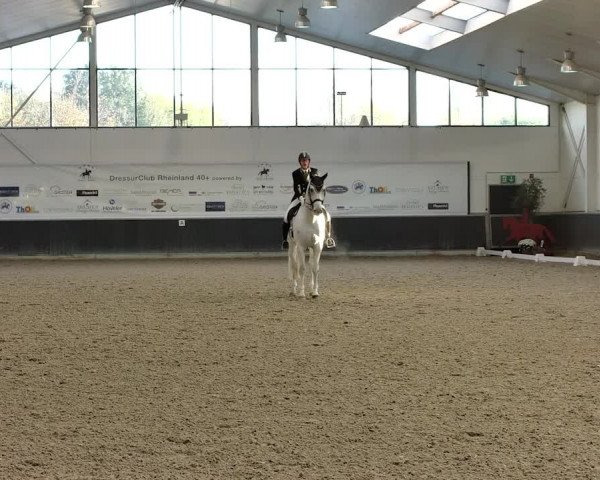 Reitturnier Mönchengladbach-Abtshof 2019
