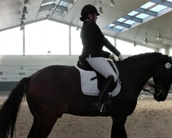 Reitturnier Mönchengladbach-Abtshof 2019