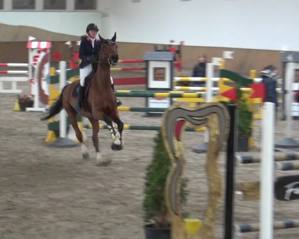 Reitturnier Freudenberg 2019