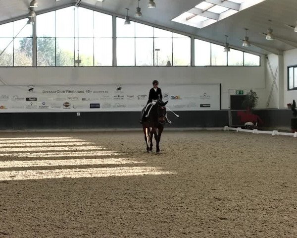 Reitturnier Mönchengladbach-Abtshof 2019
