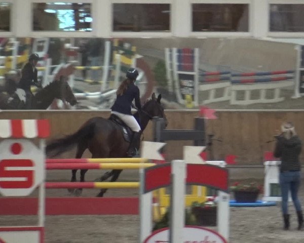 Reitturnier Freudenberg 2019