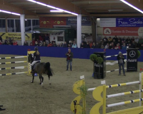 Reitturnier Isterberg 2019