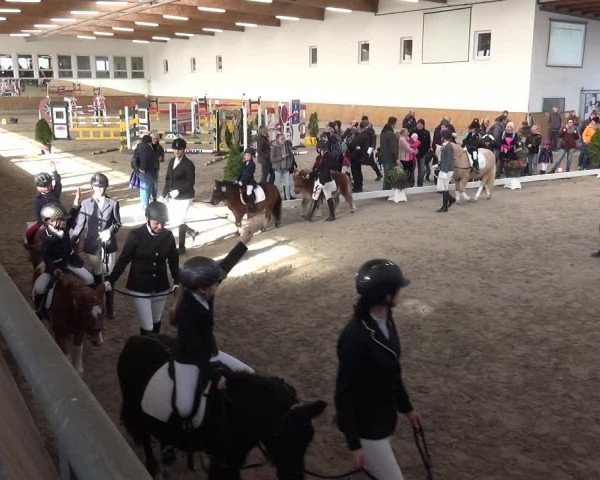 Reitturnier Freudenberg 2019