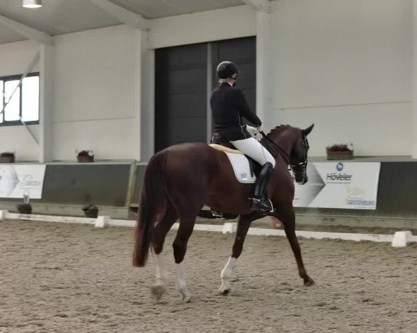 Reitturnier Mönchengladbach-Abtshof 2019
