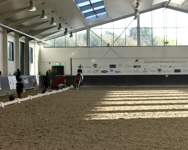 Reitturnier Mönchengladbach-Abtshof 2019