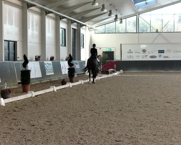 Reitturnier Mönchengladbach-Abtshof 2019
