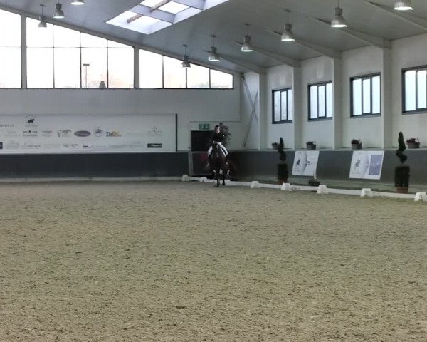 Reitturnier Mönchengladbach-Abtshof 2019