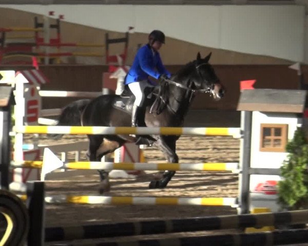Reitturnier Freudenberg 2019