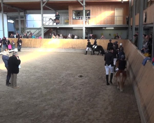 Reitturnier Freudenberg 2019