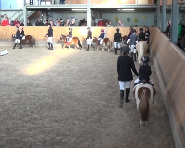 Reitturnier Freudenberg 2019