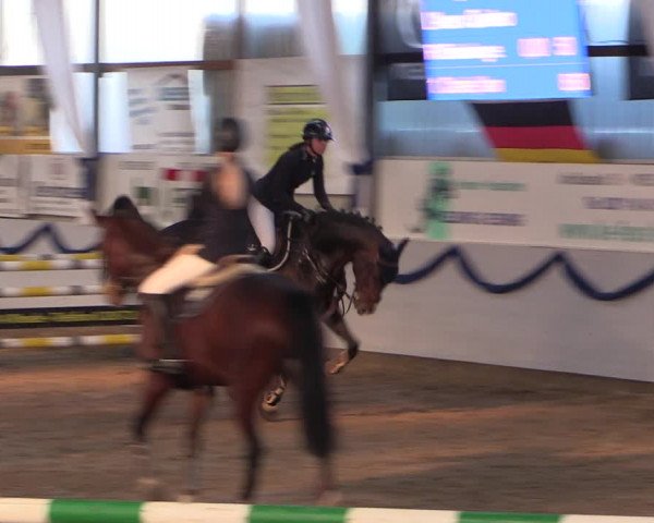 Reitturnier Rhede-Krommert 2019