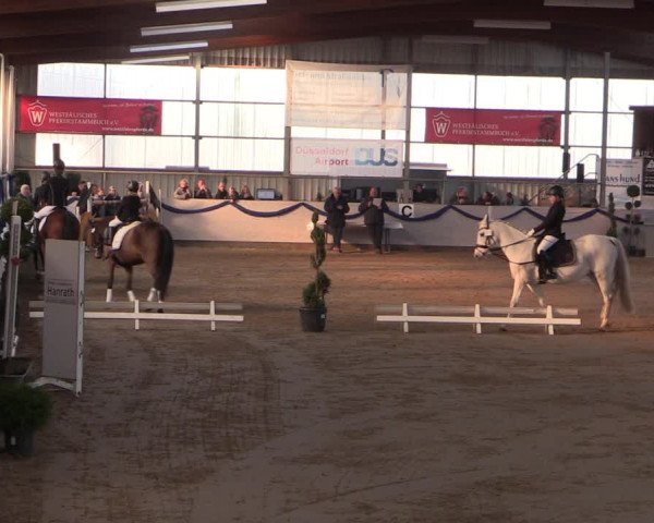 Reitturnier Rhede-Krommert 2019