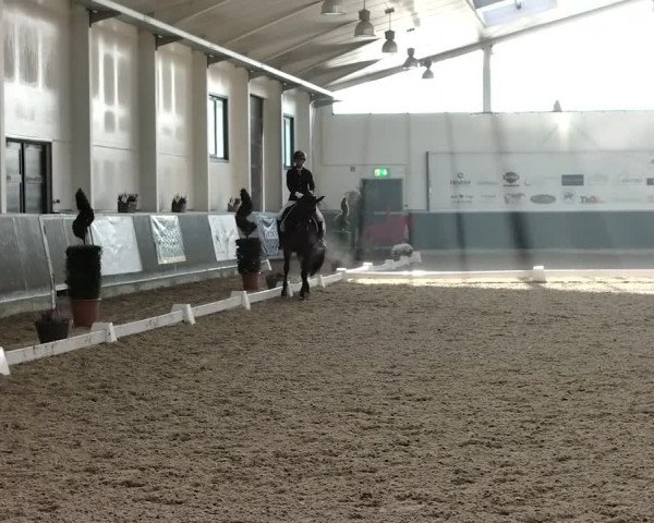 Reitturnier Mönchengladbach-Abtshof 2019