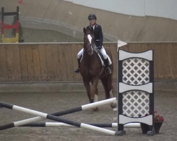 Reitturnier Freudenberg 2019