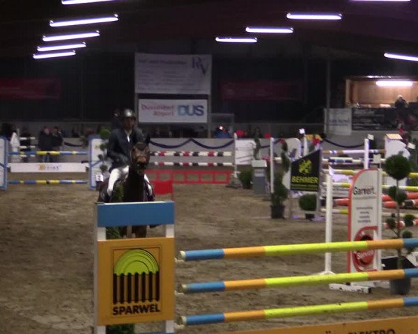 Reitturnier Rhede-Krommert 2019