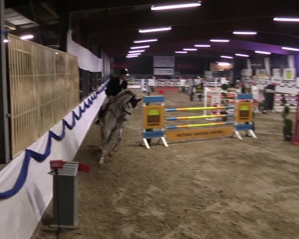 Reitturnier Rhede-Krommert 2019