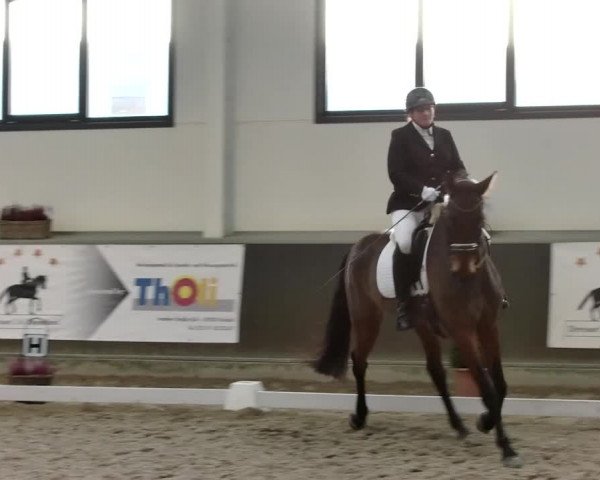 Reitturnier Mönchengladbach-Abtshof 2019