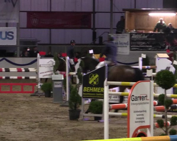 Reitturnier Rhede-Krommert 2019