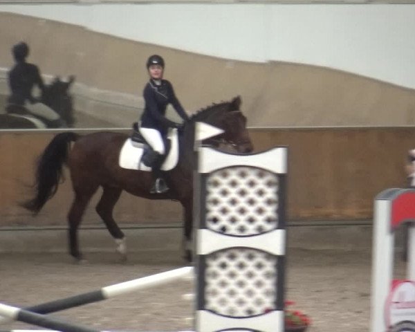 Reitturnier Freudenberg 2019