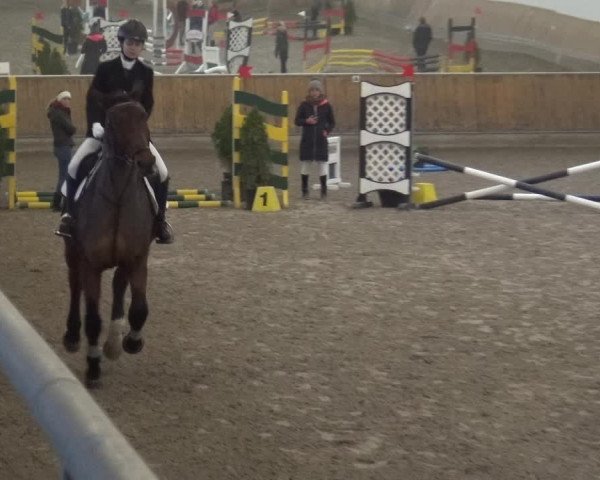 Reitturnier Freudenberg 2019
