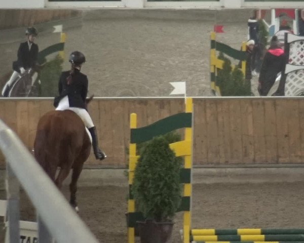 Reitturnier Freudenberg 2019