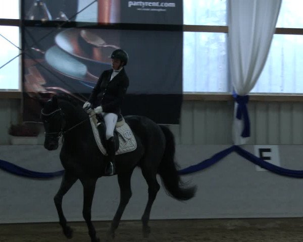 Reitturnier Rhede-Krommert 2019