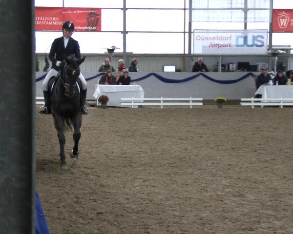 Reitturnier Rhede-Krommert 2019