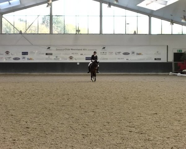 Reitturnier Mönchengladbach-Abtshof 2019