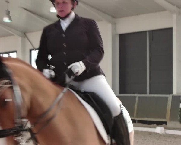 Reitturnier Mönchengladbach-Abtshof 2019