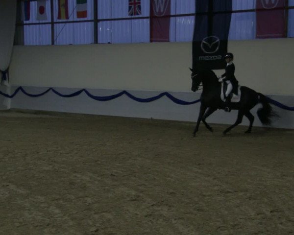 Reitturnier Rhede-Krommert 2019