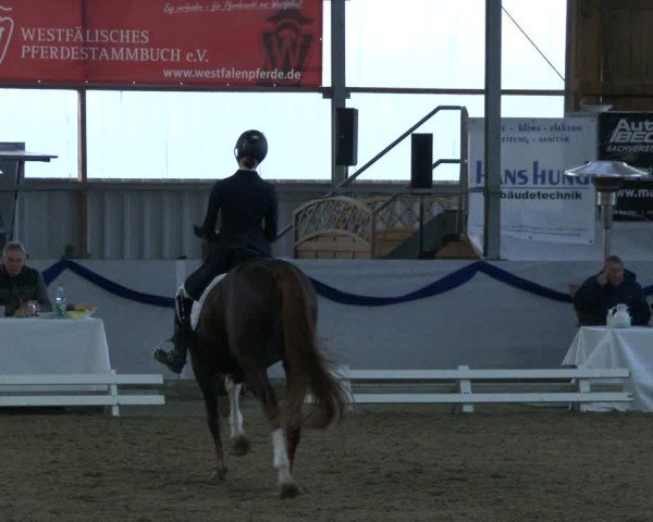 Reitturnier Rhede-Krommert 2019