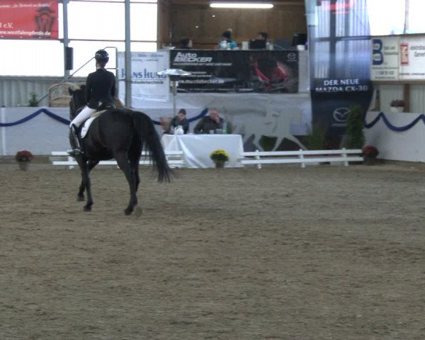 Reitturnier Rhede-Krommert 2019