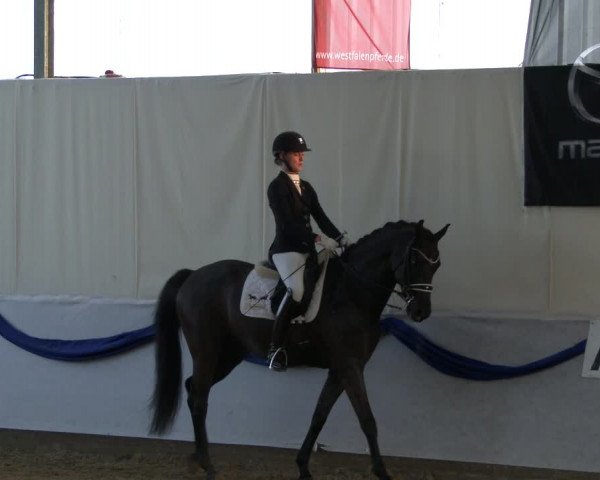 Reitturnier Rhede-Krommert 2019