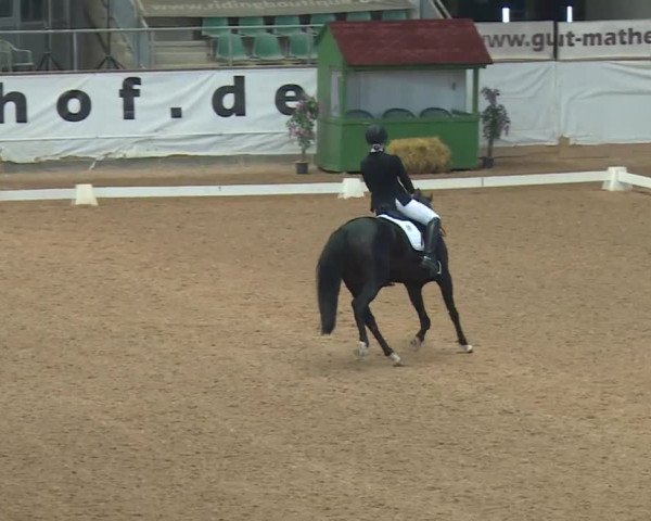 Reitturnier Kreuth/Opf. 2019
