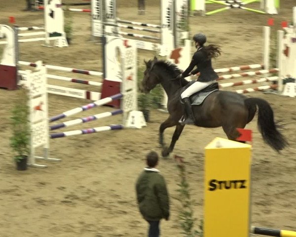 Reitturnier Sulgen 2019