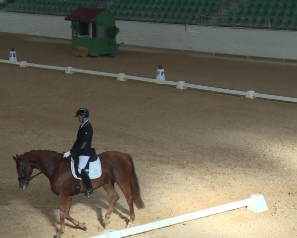 Reitturnier Kreuth/Opf. 2019