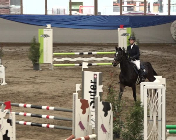 Reitturnier Sulgen 2019