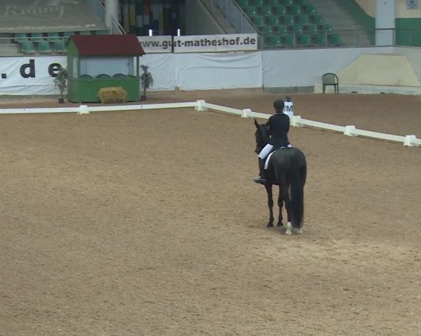 Reitturnier Kreuth/Opf. 2019