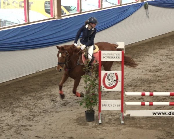 Reitturnier Sulgen 2019