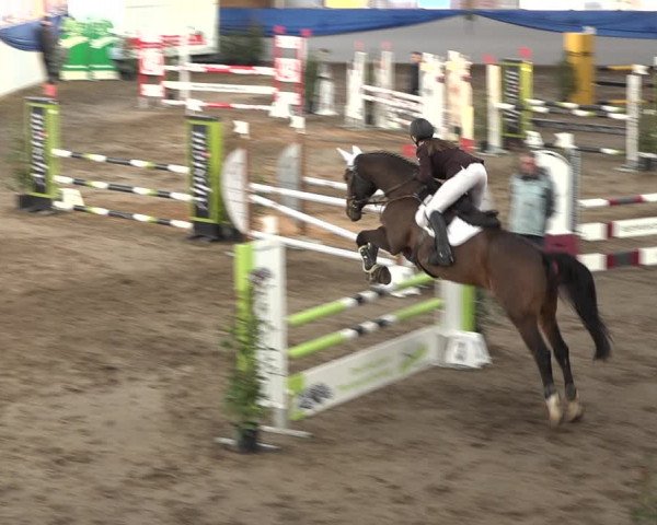 Reitturnier Sulgen 2019
