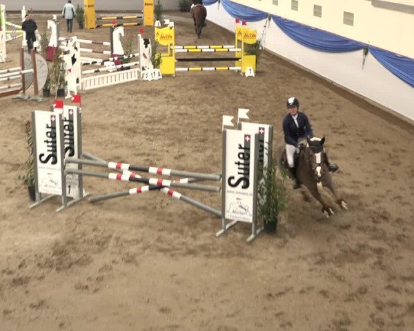 Reitturnier Sulgen 2019