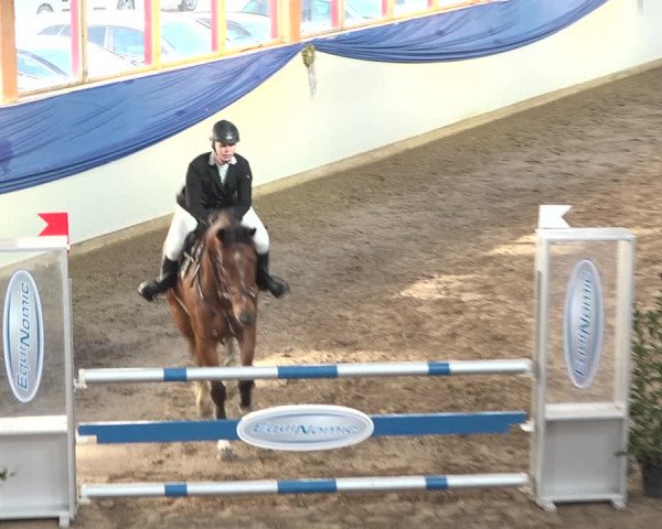 Reitturnier Sulgen 2019