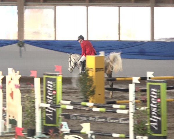 Reitturnier Sulgen 2019