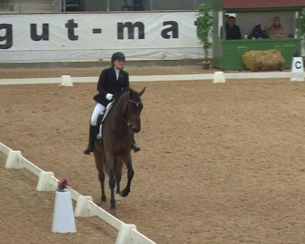 Reitturnier Kreuth/Opf. 2019