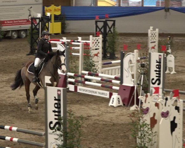 Reitturnier Sulgen 2019